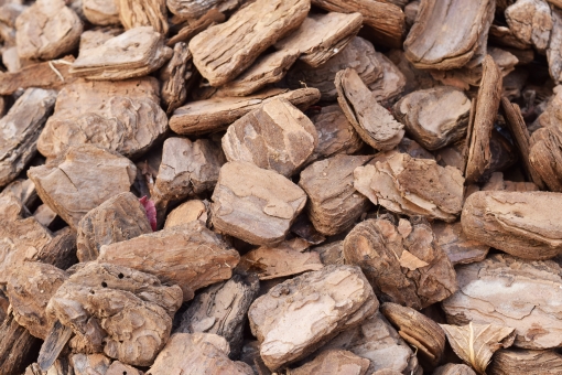 ãac åç ãã¼ã¯ããããã®ç»åæ¤ç´¢çµæ