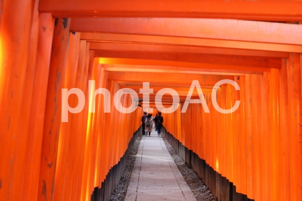 伏見稲荷大社千本鳥居 No 写真素材なら 写真ac 無料 フリー ダウンロードok