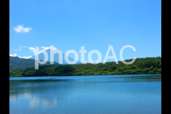 西湖から夏の富士山と雲 西湖から夏の富士山と雲の写真