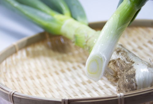 「ac 写真　下仁田ネギ」の画像検索結果