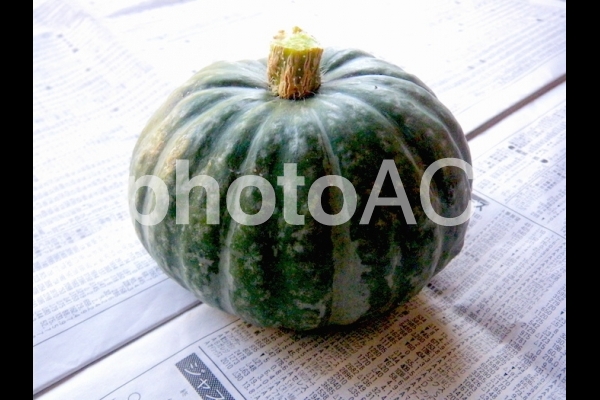 かぼちゃ かぼちゃの写真