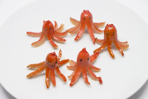 50 かわいい タコ さん ウインナー イラスト 動物ゾーン