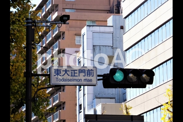 青信号2 青信号2の写真