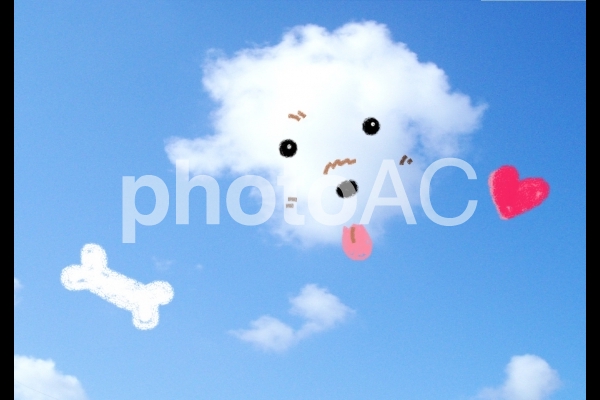わんこ雲 わんこ雲の写真