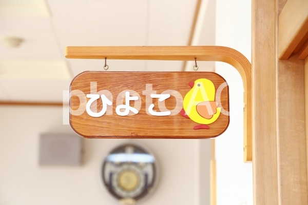 ひよこ ひよこの写真