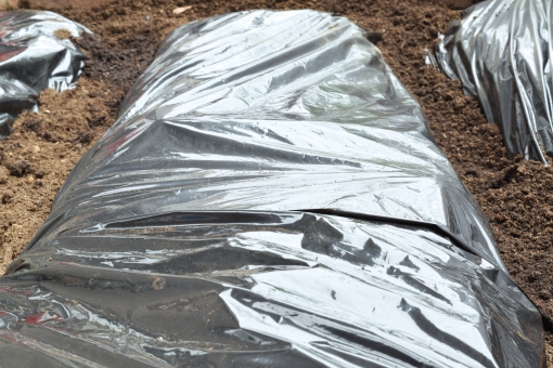 ãac åç ãã«ãã·ã¼ããã®ç»åæ¤ç´¢çµæ