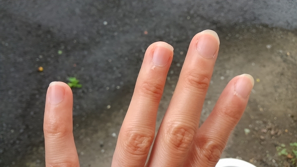 「ac 写真 長い爪」の画像検索結果