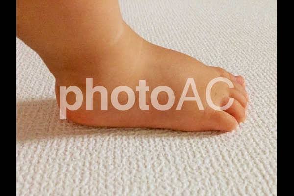 新しい一歩 新しい一歩の写真