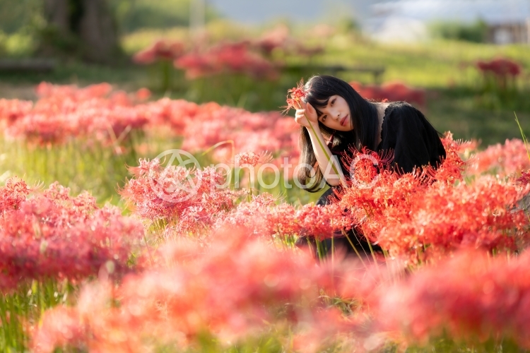彼岸花と女性のポートレート No 2844468 写真素材なら 写真ac 無料 フリー ダウンロードok