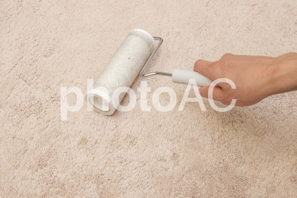 コロコロ コロコロの写真
