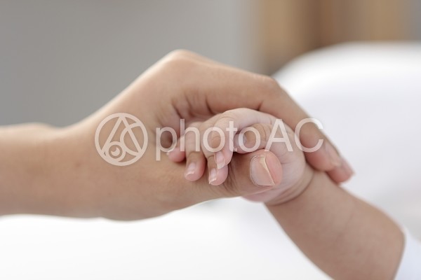 母子の手19 母子の手19の写真