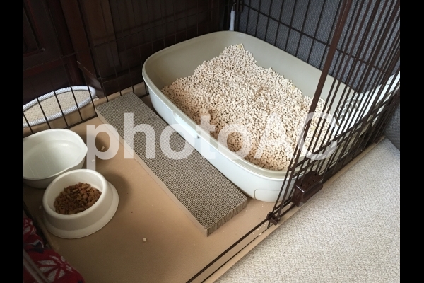 猫のケージ 猫のケージの写真