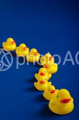 整列するアヒルのおもちゃ9 整列するアヒルのおもちゃ9の写真