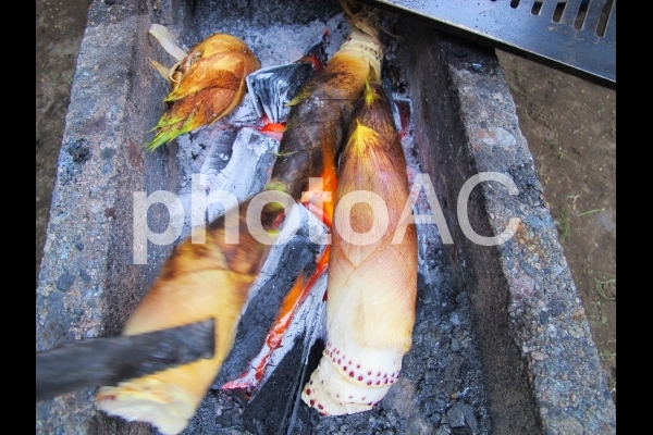 たけのこを焼く たけのこを焼くの写真