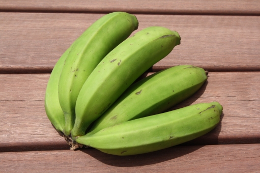 ãac åç éããããã®ç»åæ¤ç´¢çµæ