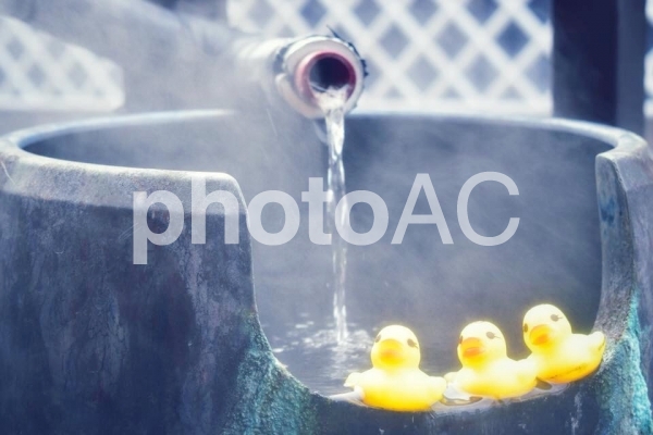 アヒルの行水 アヒルの行水の写真