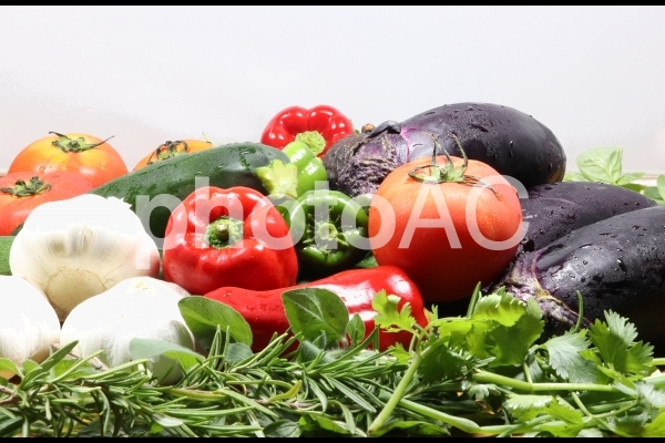 フレッシュ野菜色々&ハーブ・薄いグレーの背景 フレッシュ野菜色々&ハーブ・薄いグレーの背景の写真