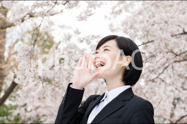 桜と就活生の女性10 桜と就活生の女性10の写真