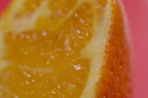 「ac 写真 オレンジの皮」の画像検索結果