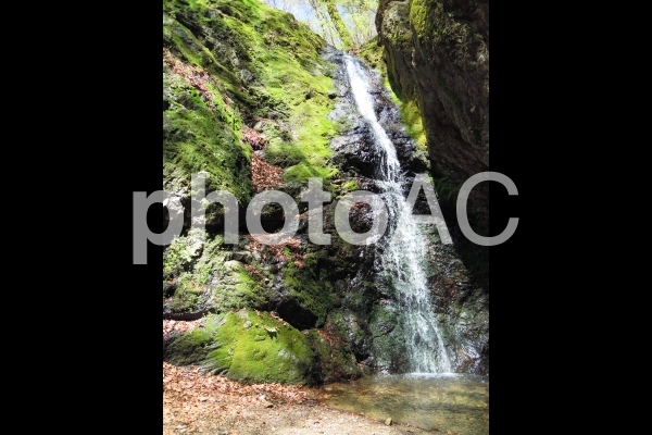 綾広の滝2 綾広の滝2の写真
