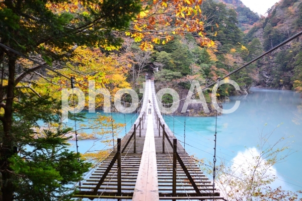 夢の吊り橋 No 写真素材なら 写真ac 無料 フリー ダウンロードok