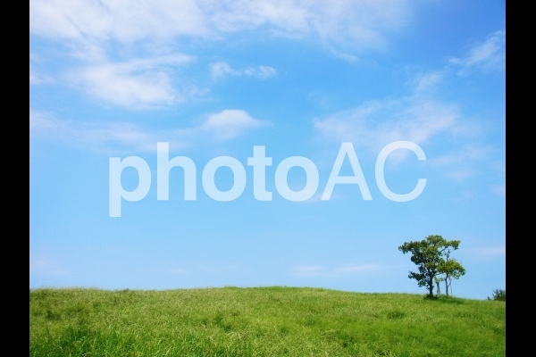 草原と青空 #2 草原と青空 #2の写真