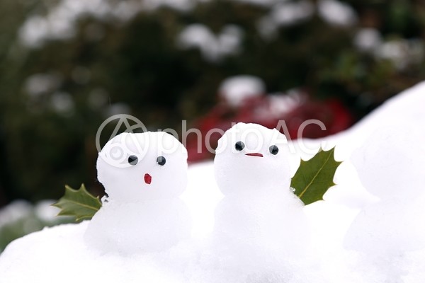 雪だるま3 雪だるま3の写真