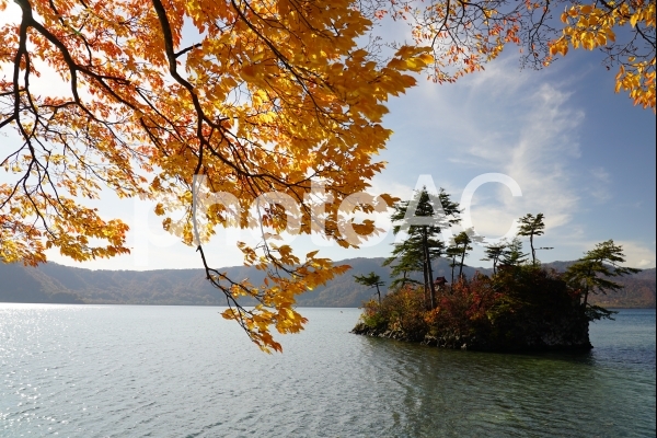 秋の十和田湖 秋の十和田湖の写真