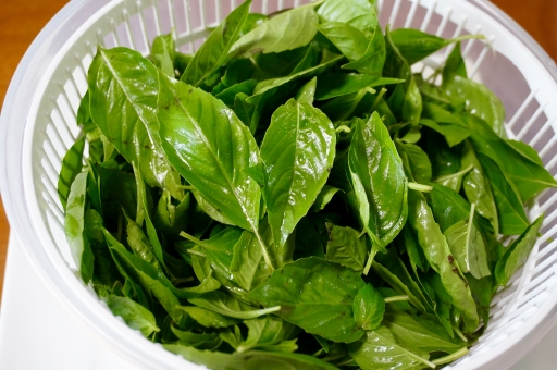 「ac 写真 サラダスピナー」の画像検索結果