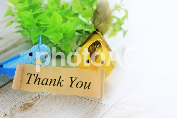 メッセージ(Thank You) メッセージ(Thank You)の写真