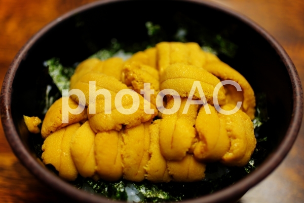 うに丼 うに丼の写真