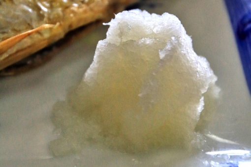 ãac åç å¤§æ ¹ããããã®ç»åæ¤ç´¢çµæ