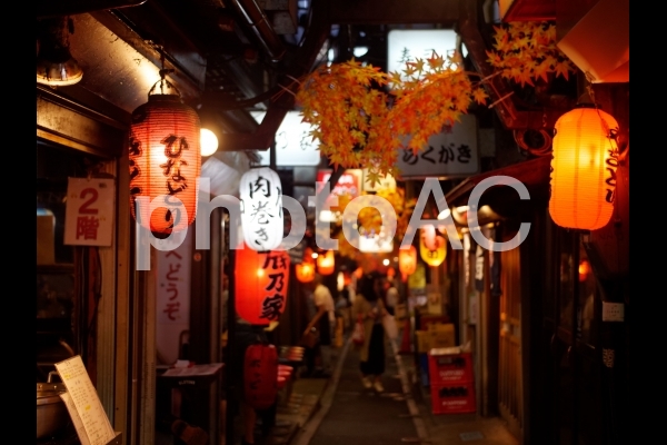 新宿の飲み屋街「思い出横丁」 新宿の飲み屋街「思い出横丁」の写真