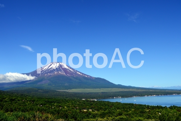 パノラマ台からの富士山 パノラマ台からの富士山の写真