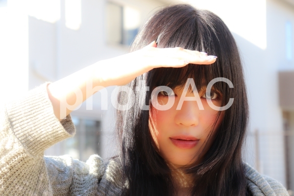 日差し 日差しの写真