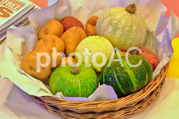 秋のとれたて野菜 秋のとれたて野菜の写真
