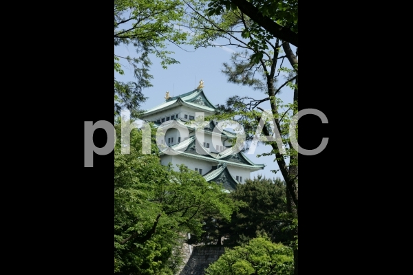 名古屋城天守閣 名古屋城天守閣の写真