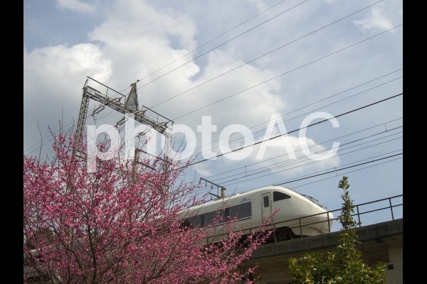 春の湖西線002 春の湖西線002の写真