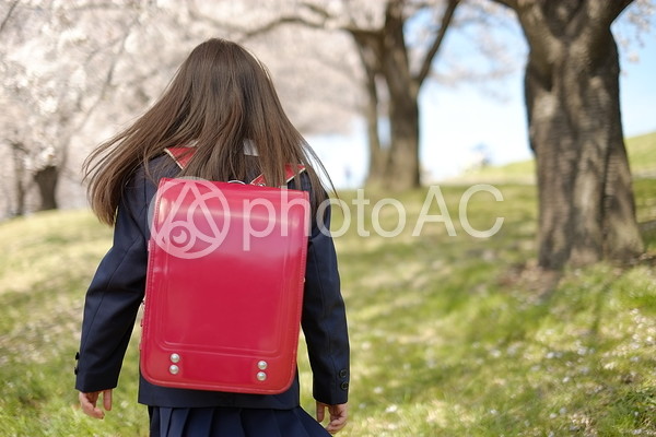 小学生の女の子26 小学生の女の子26の写真