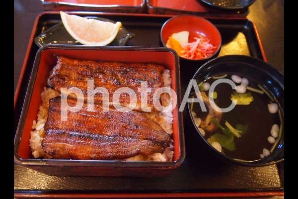 うな重 うな重の写真