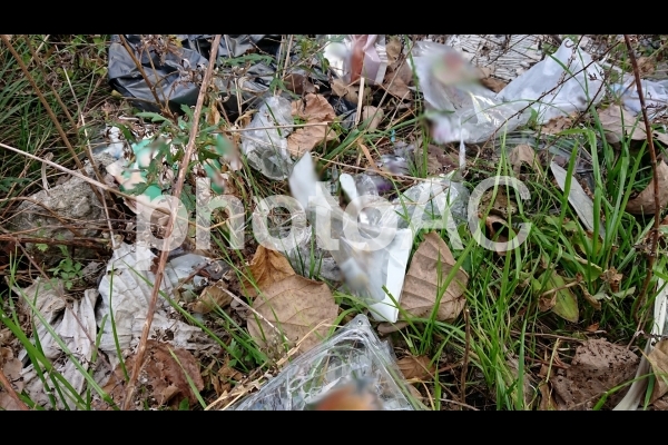 ポイ捨てされた荒地の道端 #1 (ノーマル) ポイ捨てされた荒地の道端 #1 (ノーマル)の写真