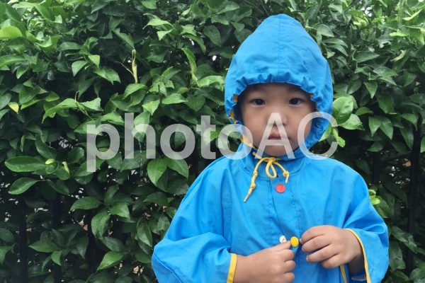 雨の中佇む子供 雨の中佇む子供の写真