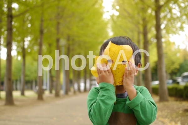 葉っぱのお面 葉っぱのお面の写真