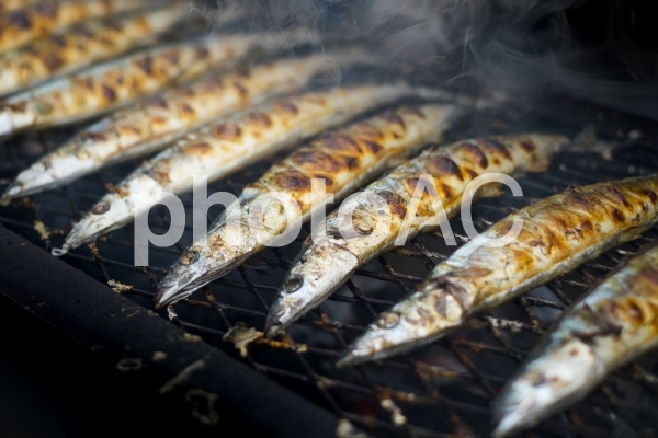 サンマの塩焼き サンマの塩焼きの写真