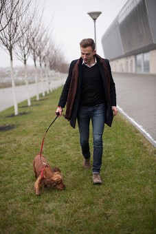 最高犬 散歩 ファッション メンズ 人気のファッションスタイル