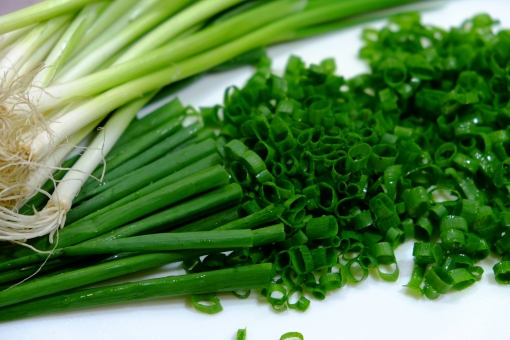 「ac 写真　小葱」の画像検索結果