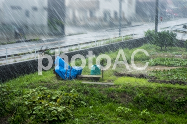 ゲリラ豪雨と街並み ゲリラ豪雨と街並みの写真