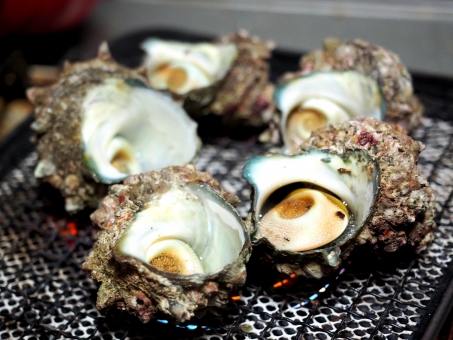 魚焼き網の写真素材 写真素材なら 写真ac 無料 フリー ダウンロードok