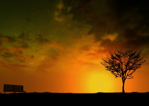 黒人が黄昏てるとき聴いてそうな音楽 65 000