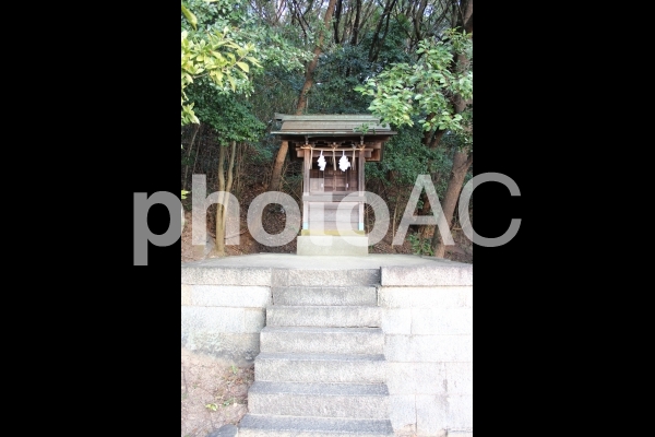 山祇神社 山祇神社の写真